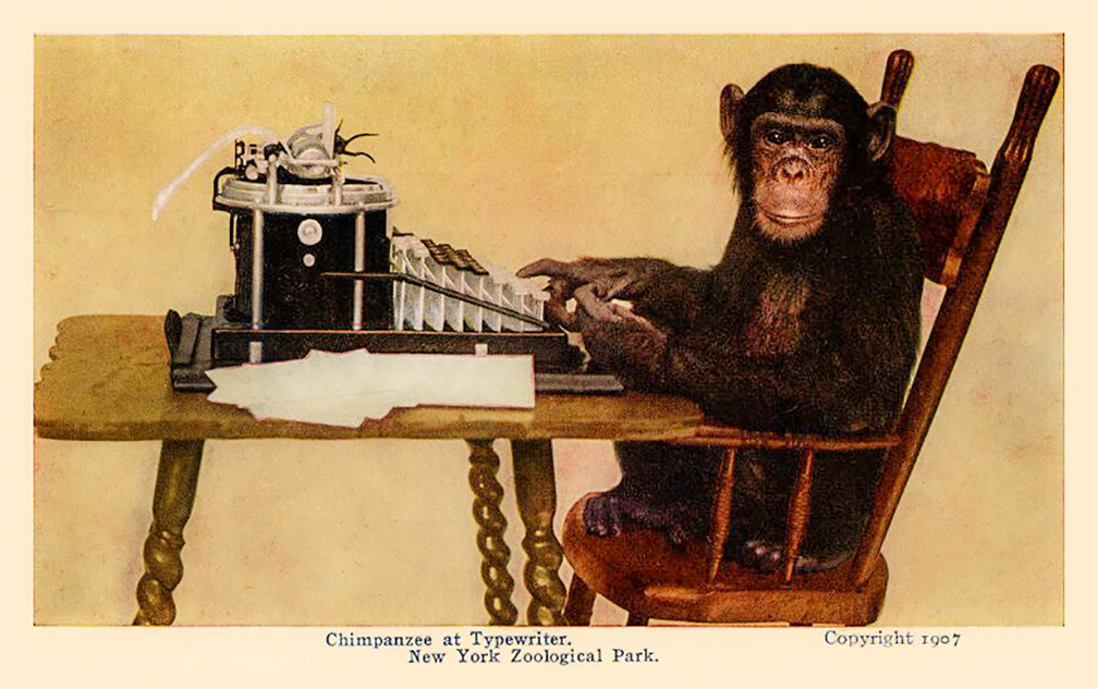 Monkey on a typewriter